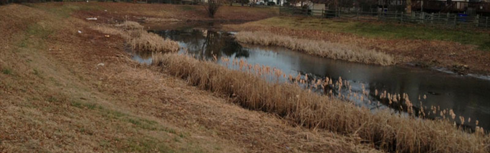 Storm Water Basin Clearing