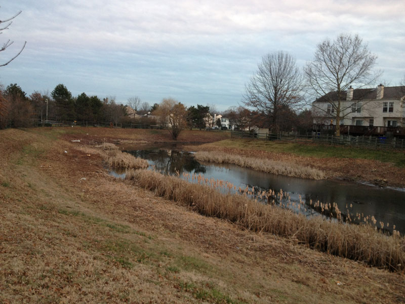 storm water basin clearing Newark Delaware