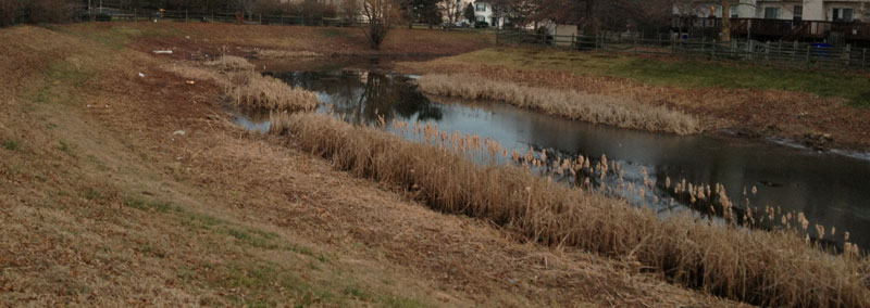 Storm Water Basin Clearing Newark Delaware